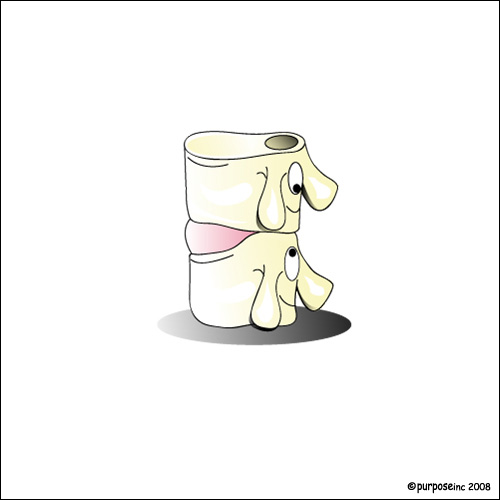 Between Front of Vertebrae is cushion