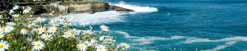 Random header image... Refresh for more!
