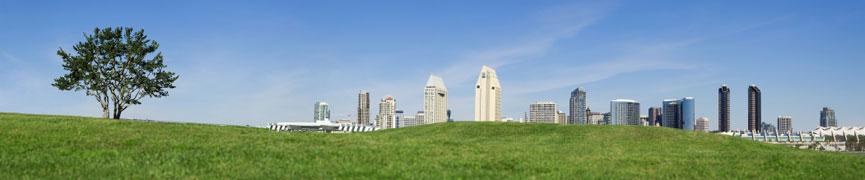 Random header image... Refresh for more!