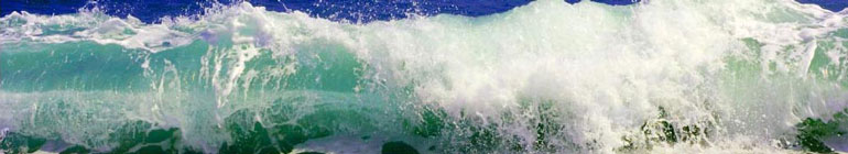 San Diego Chiropractic header image 1