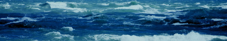 San Diego Chiropractic header image 5